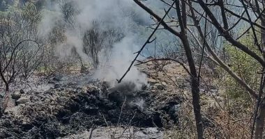 VIDEO/ Tre ditë në “luftë” me flakët, neutralizohet zjarri në Drenovë të Mallakastrës