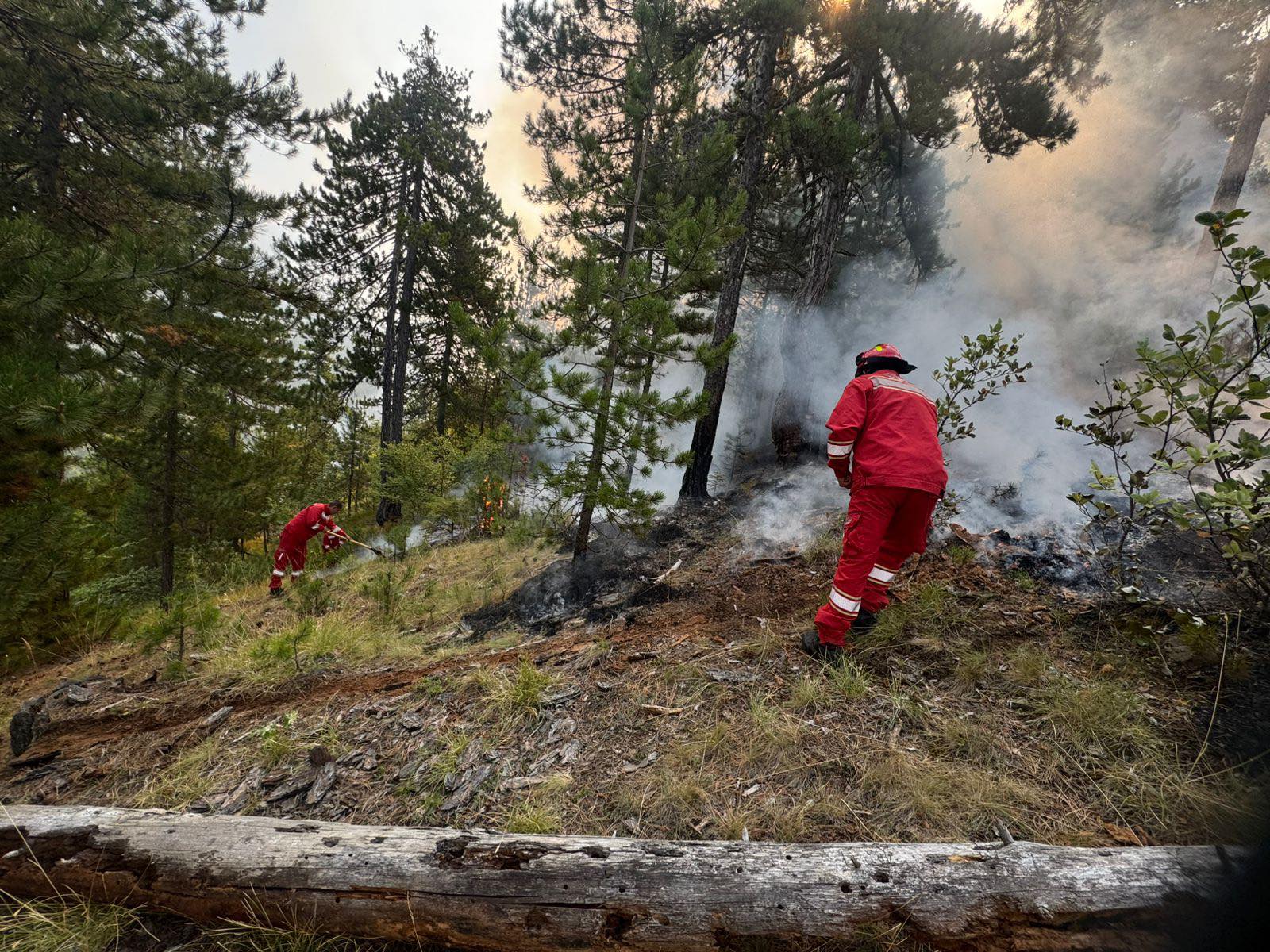 Zjarret, 4 vatra aktive/ Ministria e Mbrojtjes: Shuhen 16 zjarre, 3 në monitorim