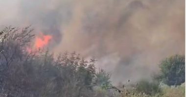 Evakuohen fshatrat në Finiq/ Prej një jave në betejë me flakët, ndëhyrjen nga ajri