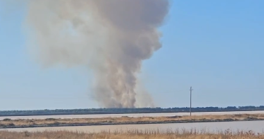 Përfshihet në flakë pylli me pisha në Akërni