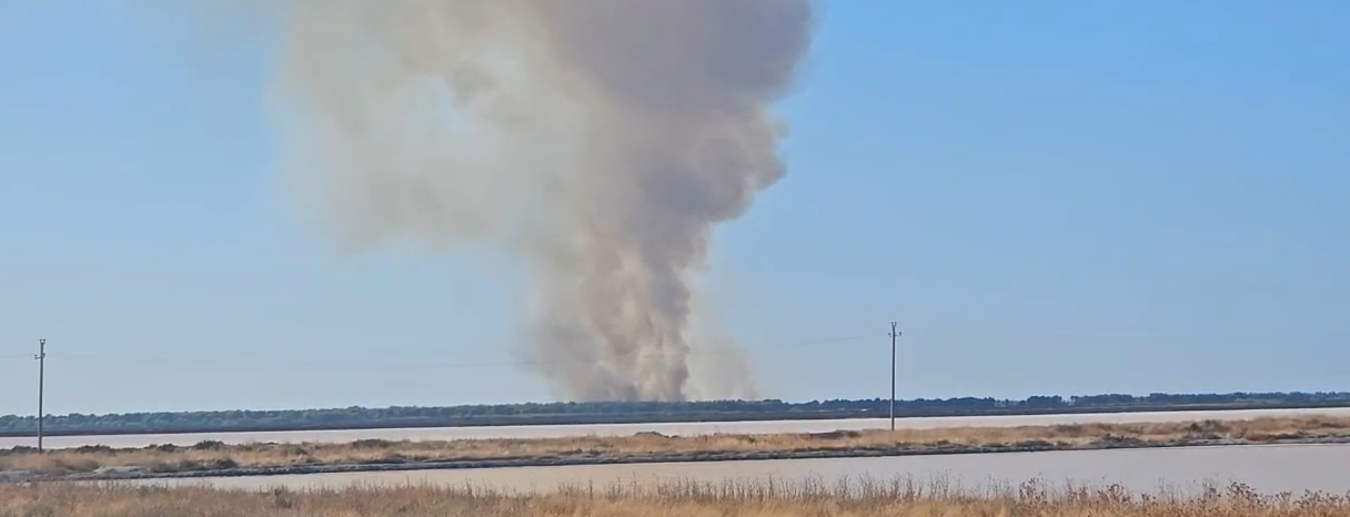 Përfshihet në flakë pylli me pisha në Akërni