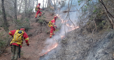 Situata e zjarreve në vend/ Gjatë 24 orëve të fundit janë raportuar 14 vatra zjarri