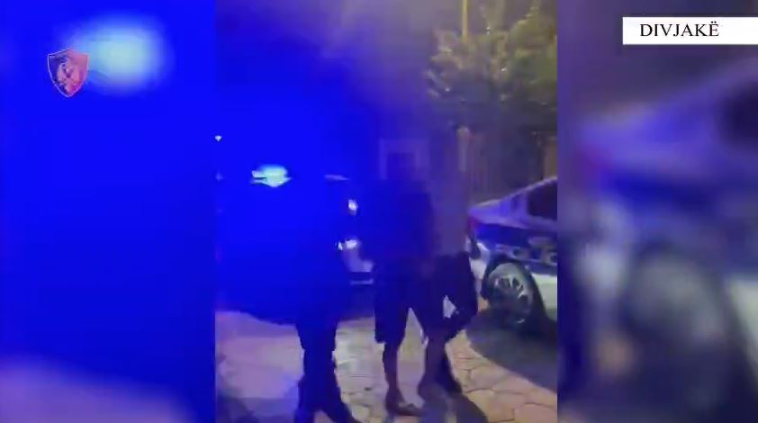 Ndezi zjarr në një fshat të Divjakës, ku u dogjën dhjetëra rrënjë ulliri/ Pranga 41-vjeçarit