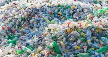 Plastika, një kërcënim në rritje për shëndetin: Ekspertët kërkojnë veprim global