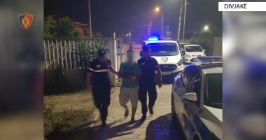 EMRAT/ Arrestohen dy persona për zjarrvënie në Mallakastër dhe Divjakë