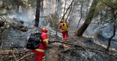 Zjarret në vend, Mbrojtja: Gjatë orëve të fundit janë evidentuar 21 vatra, 14 ende aktive