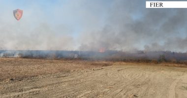 (EMRI) Dogji qëllimisht tokën me shkurre/ Fier, vihet në pranga 41 vjeçari