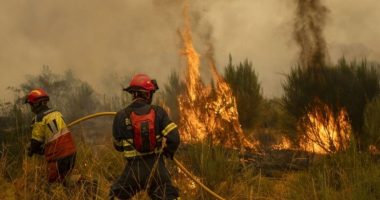 Studimi: Tymi mund të ndikojë te njerëzit shumë më tepër sesa vetë zjarret
