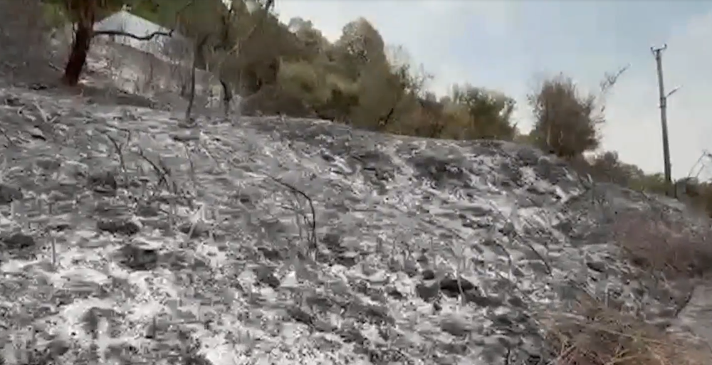 “Plagët” e zjarrit/ Delvinë, hiri që lanë pas flakët e gushtit