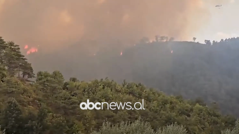 VIDEO/ Gramshi nën “pushtetin” e flakëve, zjarre në disa fshatra