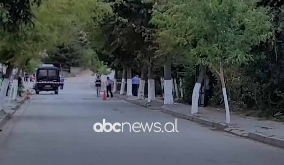 Vritet me thikë i mituri në Maliq