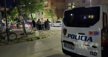 Plagosja te ‘Fresku’/ Arrestohet bashkëpunëtori i dytë, në kërkim autori