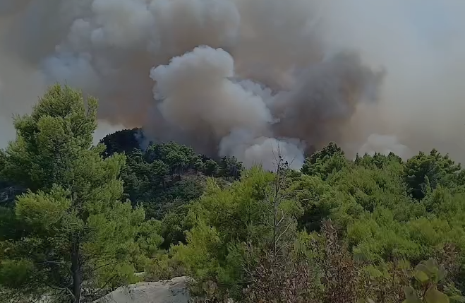 Zjarr në Mallakastër/ Zjarrfikësit në vendngjarje për shuarjen e flakëve, situata drejt normalizimit