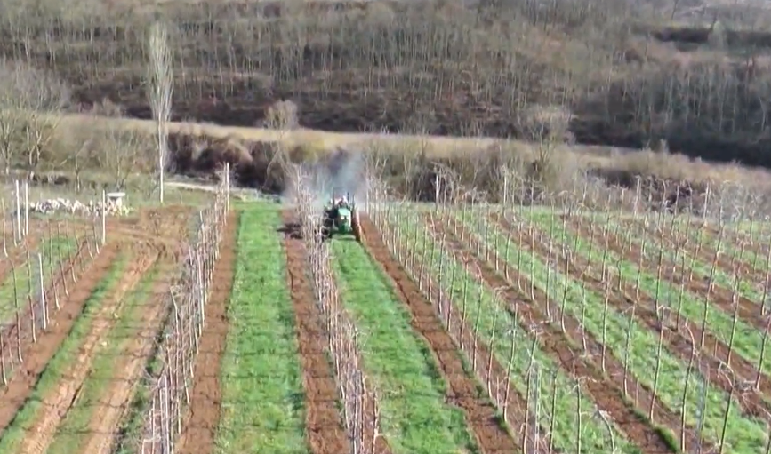 Garancia 3 miliardë lekë për bujqësinë/ Miratohet vendimi, interesi për kreditë deri në 2 përqind