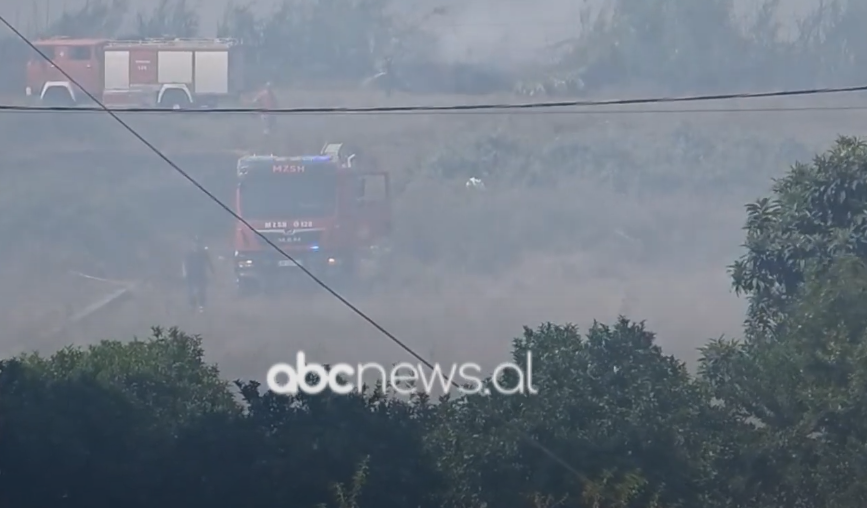 Zjarret në Daullas dhe Mbrostar të Fierit/ Pesë zjarrfikëse të angazhuar, situata në normalizim
