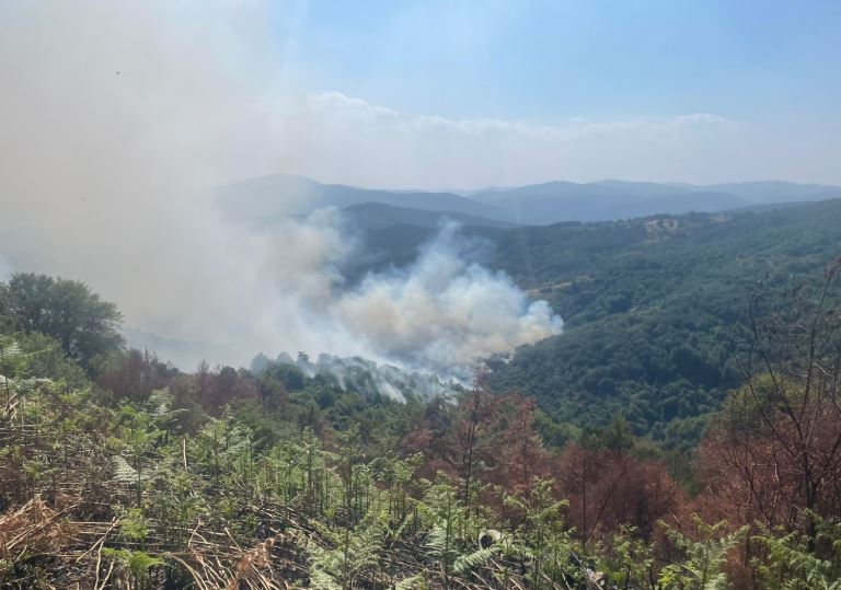 Zjarret/ 87 vatra zjarri të regjistruara në Kosovë, 8 prej tyre ende aktive