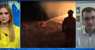 Zjarret në Ballkan/ Gazetari: Në Greqi, qindra hektarë të djegura! Nimanbegu: Në Mal të Zi, aktive 3 vatra zjarri