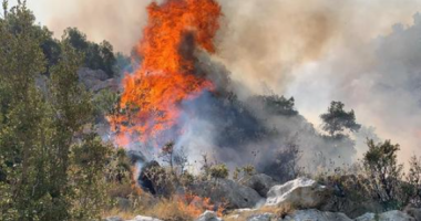 Zjarri në Poliçan/ Aktive vatra jashtë territorit të Uzinës Mekanike, flakët afrohen pranë disa banesave