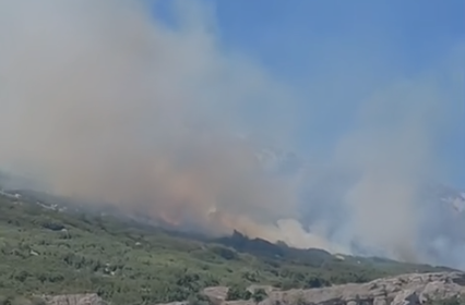 Vlorë/ Zjarr afër fshatit Tërbaç, era e fortë favorizon përhapjen e flokëve