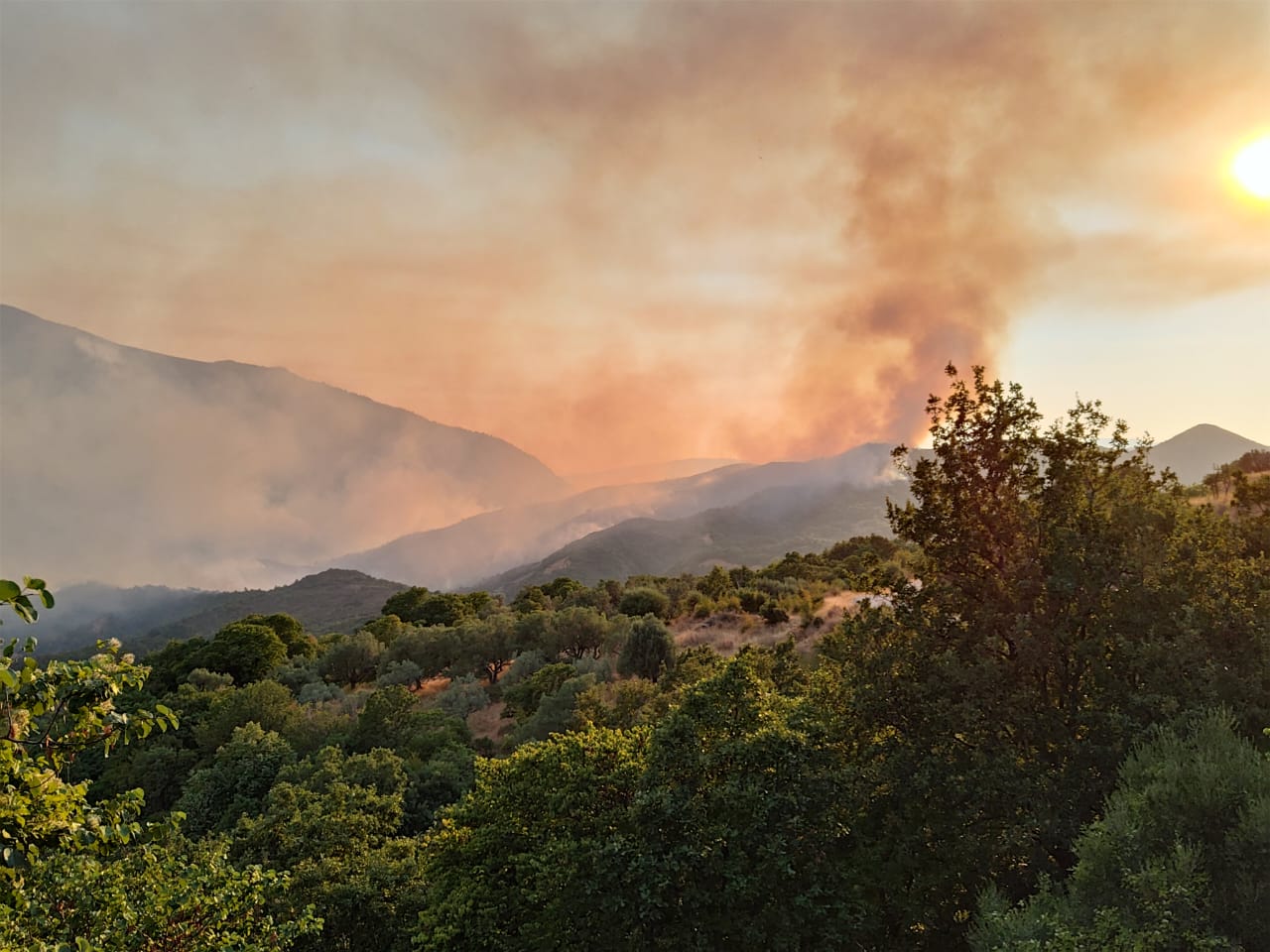 VIDEO/ Zjarri në Syrin e Kaltër zhvendoset drejt fshatit Pecë, rrezikohen banesat