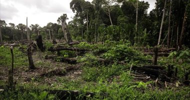 Studimi: Shpyllëzimi shkakton vdekjen e 28 mijë personave çdo vit