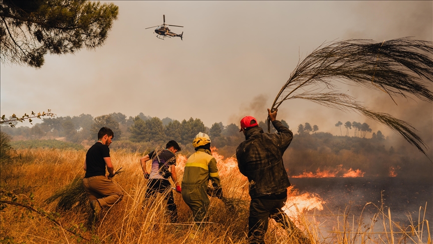 Spanja lufton me zjarret, digjen mbi 400 mijë hektarë pyje