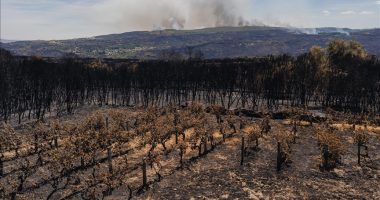 Spanjë, zjarret djegin rreth 350 mijë hektarë tokë në dy javët e fundit