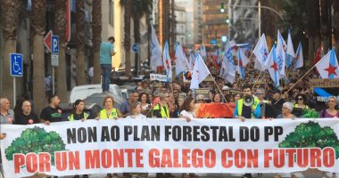 Protesta në Spanjë kundër menaxhimit të zjarreve