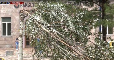 Stuhia në Tiranë/ Erë e fortë dhe shi mbi 1 orë, të paktën 20 persona paraqiten te “Trauma”