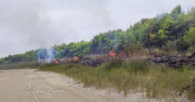 Flakët djegin pyllin me pisha/ Vijon zjarri në Akërni të Vlorës, zjarrfikësit në terren prej dy ditësh