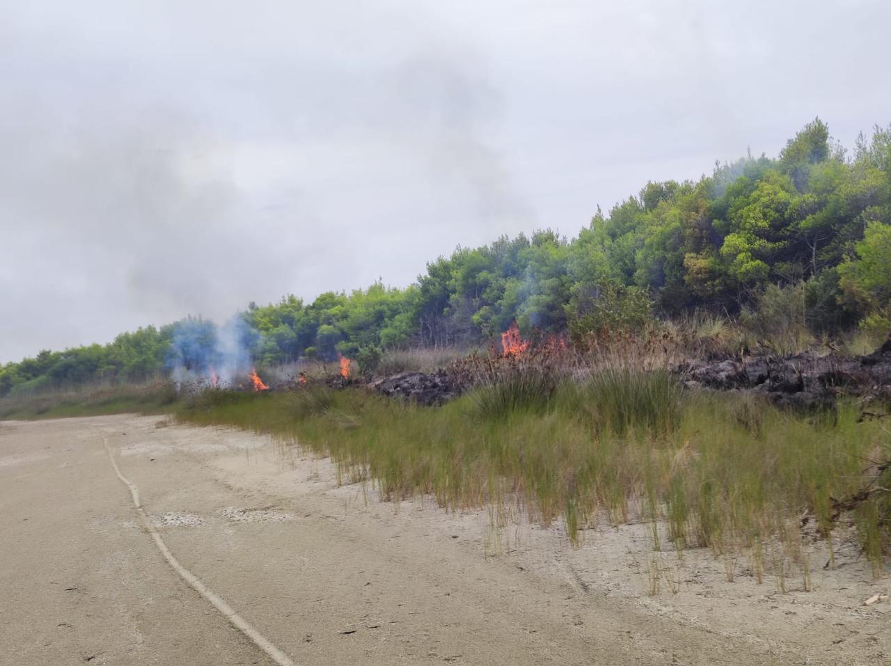 Flakët djegin pyllin me pisha/ Vijon zjarri në Akërni të Vlorës, zjarrfikësit në terren prej dy ditësh