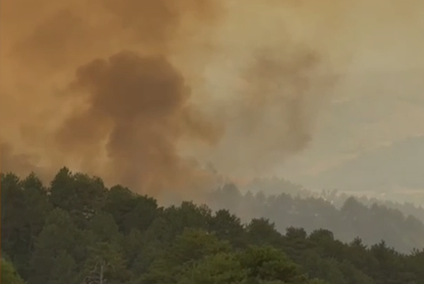 Zjarret në Gramsh/ 4 persona të lënduar, shtrohen në spital