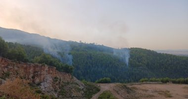 VIDEO/ Vatra zjarri në zonën me pyje në Krastë të Krujës, kërkohet ndërhyrja nga ajri
