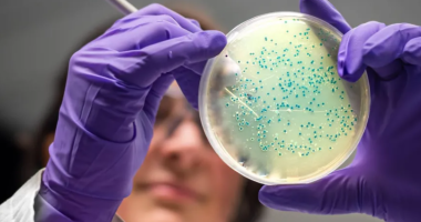 Antibiotikë “inteligjentë”/ Dy ilaçe të reja, sukses në testet laboratorike