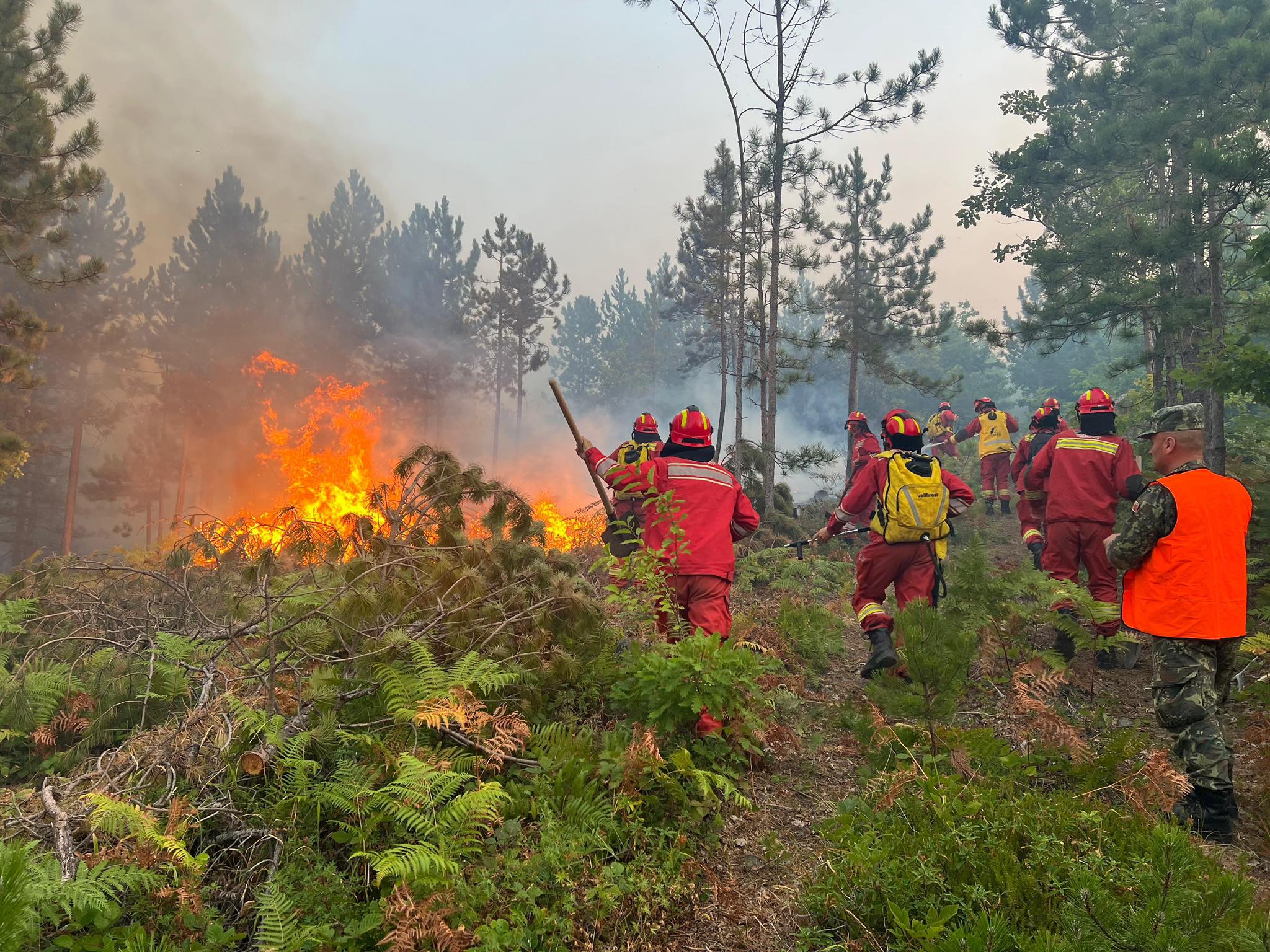 Zjarret në vend, Ministria e Mbrojtjes: 23 vatra janë aktive