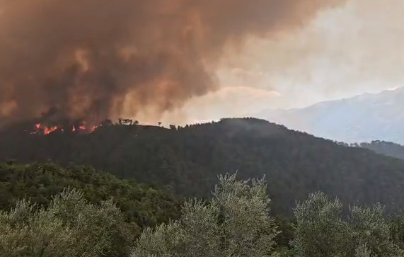 Viktima e parë nga zjarret/ Gramsh, humb jetën i moshuari. Policia: Personi që ndezi zjarrin