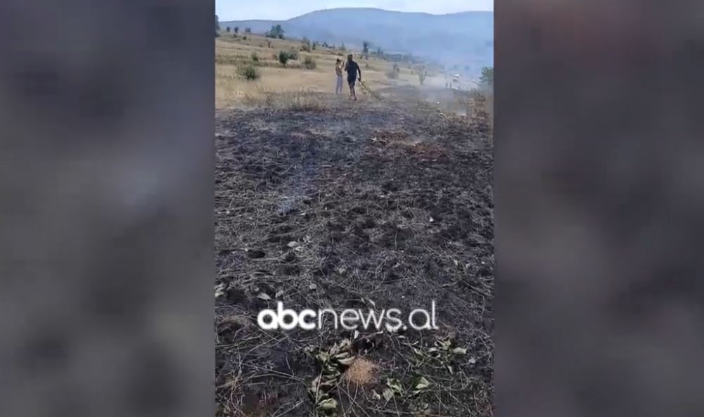Zjarr në Shishtavec dhe Zapod/ Flakët vihen nën kontroll, dyshohet zjarrvënie aksidentale