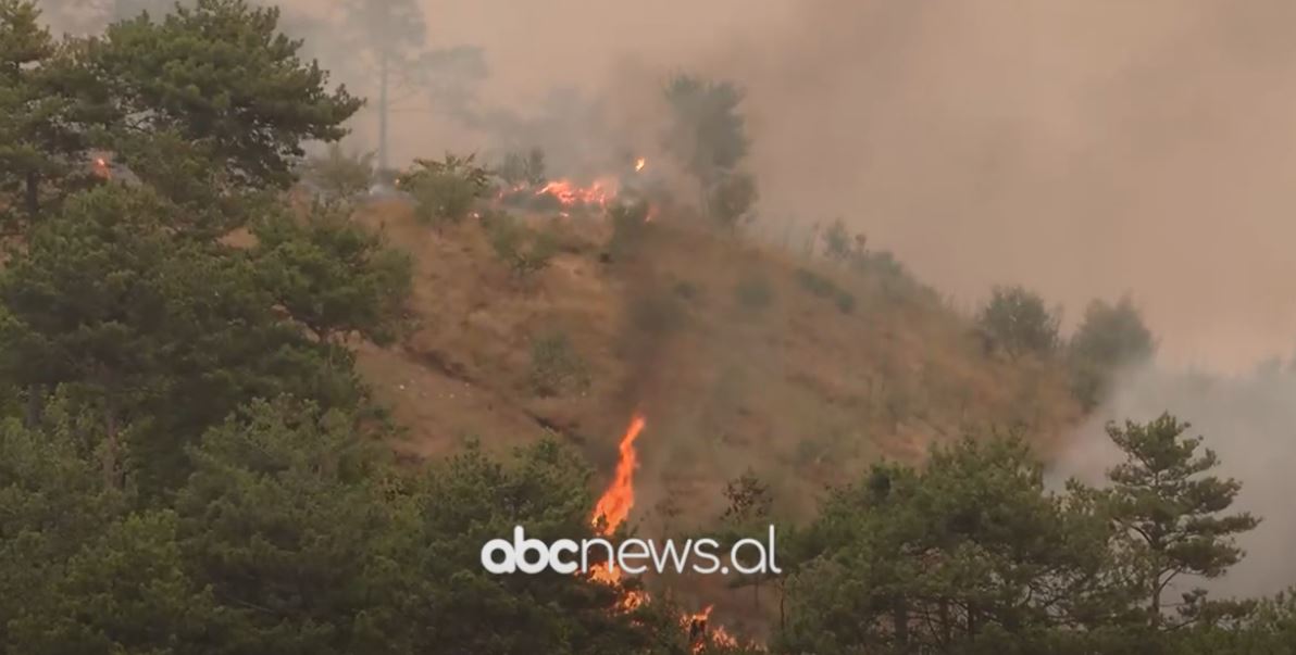 Viktima e parë nga zjarret, në Gramsh digjen 7 fshatra/ 8 banorë në spital, autoritetet dhanë urdhër për evakuim