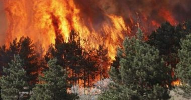 Situata me zjarret/ Mbrojtja: 6 vatra aktive, 3 helikopterë dhe 2 avionë në gatishmëri
