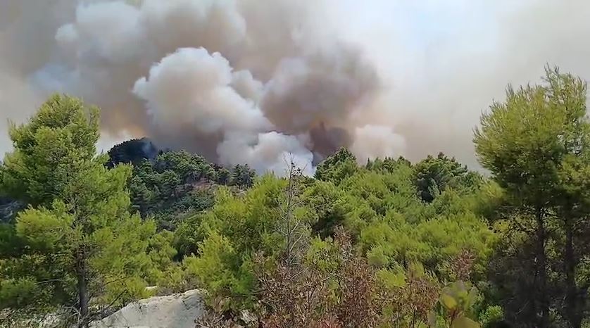 Zjarri në Patos, jashtë kontrollit/ Zjarrfikësit në terren, por ndërhyrja nga toka është e vështirë