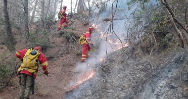 Vihet në kontroll vatra e zjarrit në Bogovë të Skraparit
