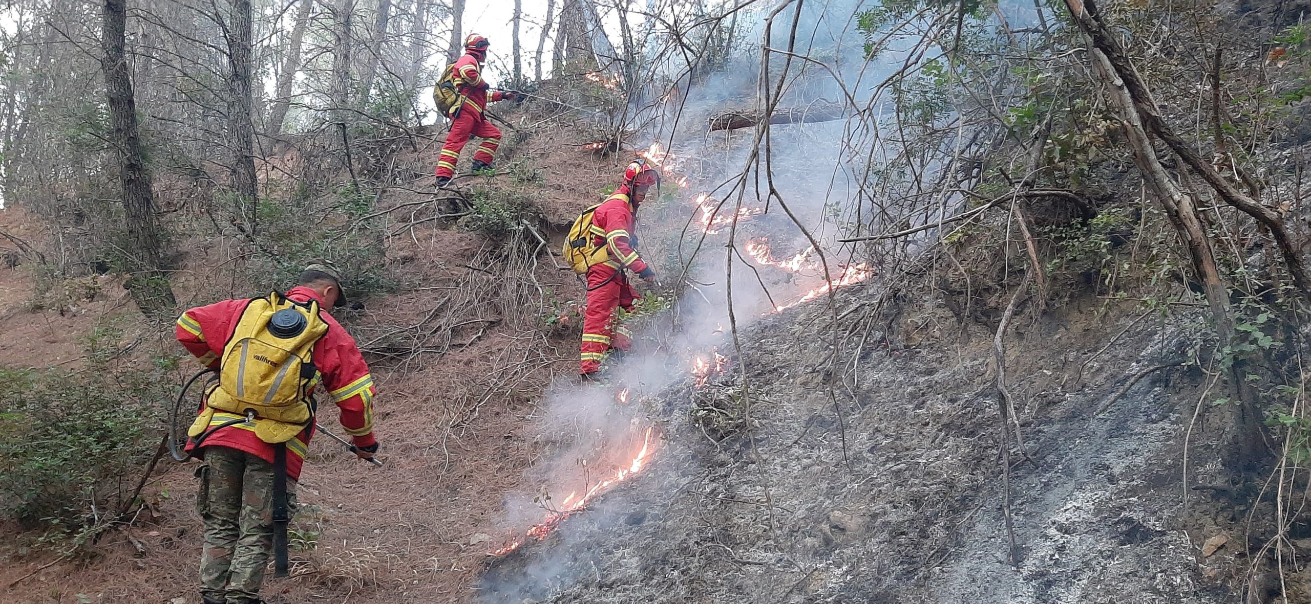 Vihet në kontroll vatra e zjarrit në Bogovë të Skraparit