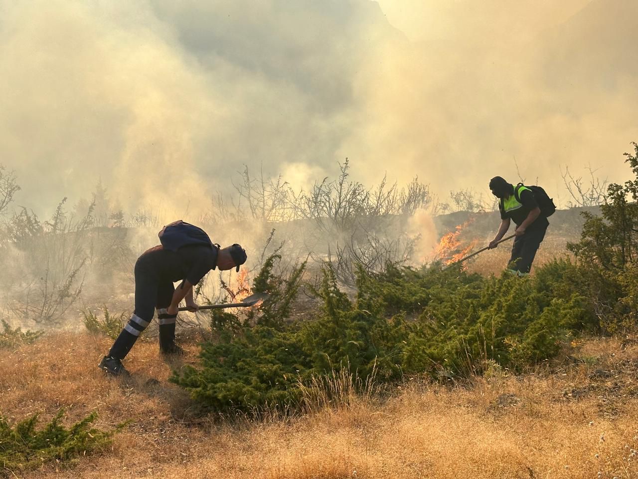VIDEO/ Vatër zjarri në një sipërfaqe pyjore në Kukës, flakët përhapen me shpejtësi, ndërhyjnë zjarrfikësit