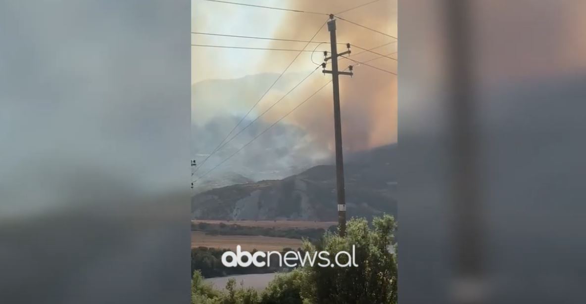VIDEO/ Zjarri në kodrat në Selenicë, ndërhyhet nga ajri për neutralizimin e flakëve
