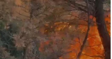 I vunë flakën tokës duke djegur një banesë/ Kavajë, vihen në pranga 3 persona