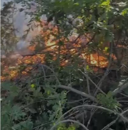 Zjarr në një sipërfaqe pyjore në Devoll, era favorizon përhapjen e flakëve