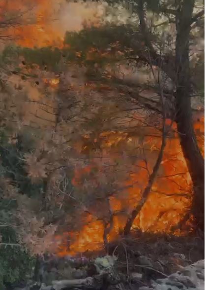 Himarë, zjarri përfshin sipërfaqe pyjore, flakët përhapen me shpejtësi nga era. Ndërhyjnë zjarrfikësit