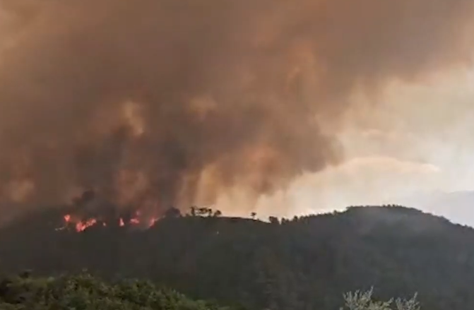 Situata e zjarreve në vend/ Gjatë orëve të fundit 14 vatra zjarri, 2 ende aktive