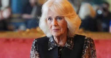 Sulm seksual ndaj Mbretëreshës/ Londër, incidenti me Camilla, kur ishte adoleshente