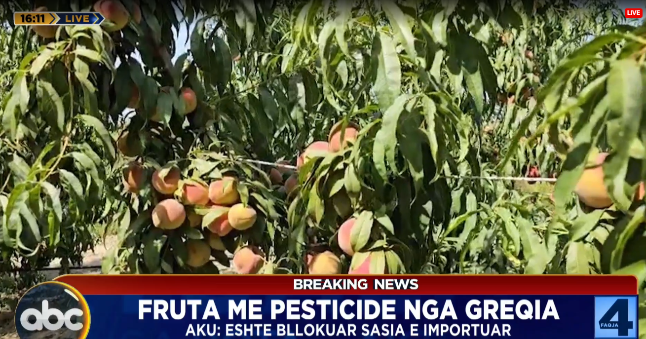 Fruta me pesticide nga Greqia/ AKU: Është bllokuar sasia e importuar